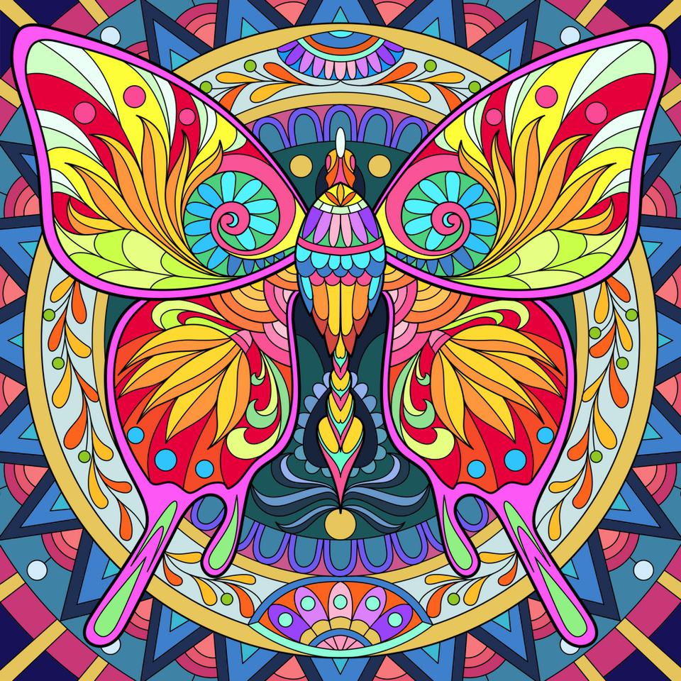 бабочка бабочка