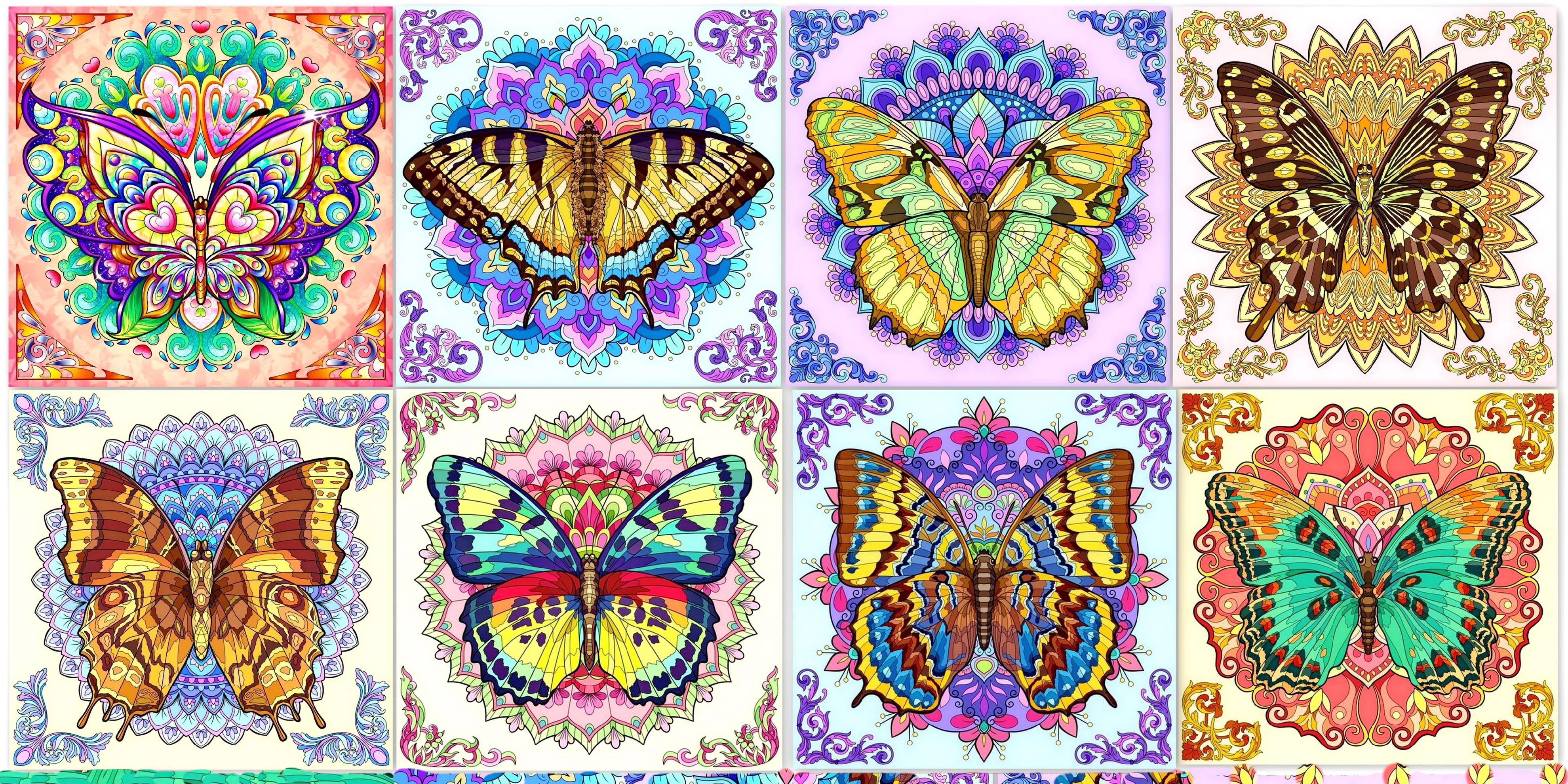 бабочки коллаж бабочки коллаж