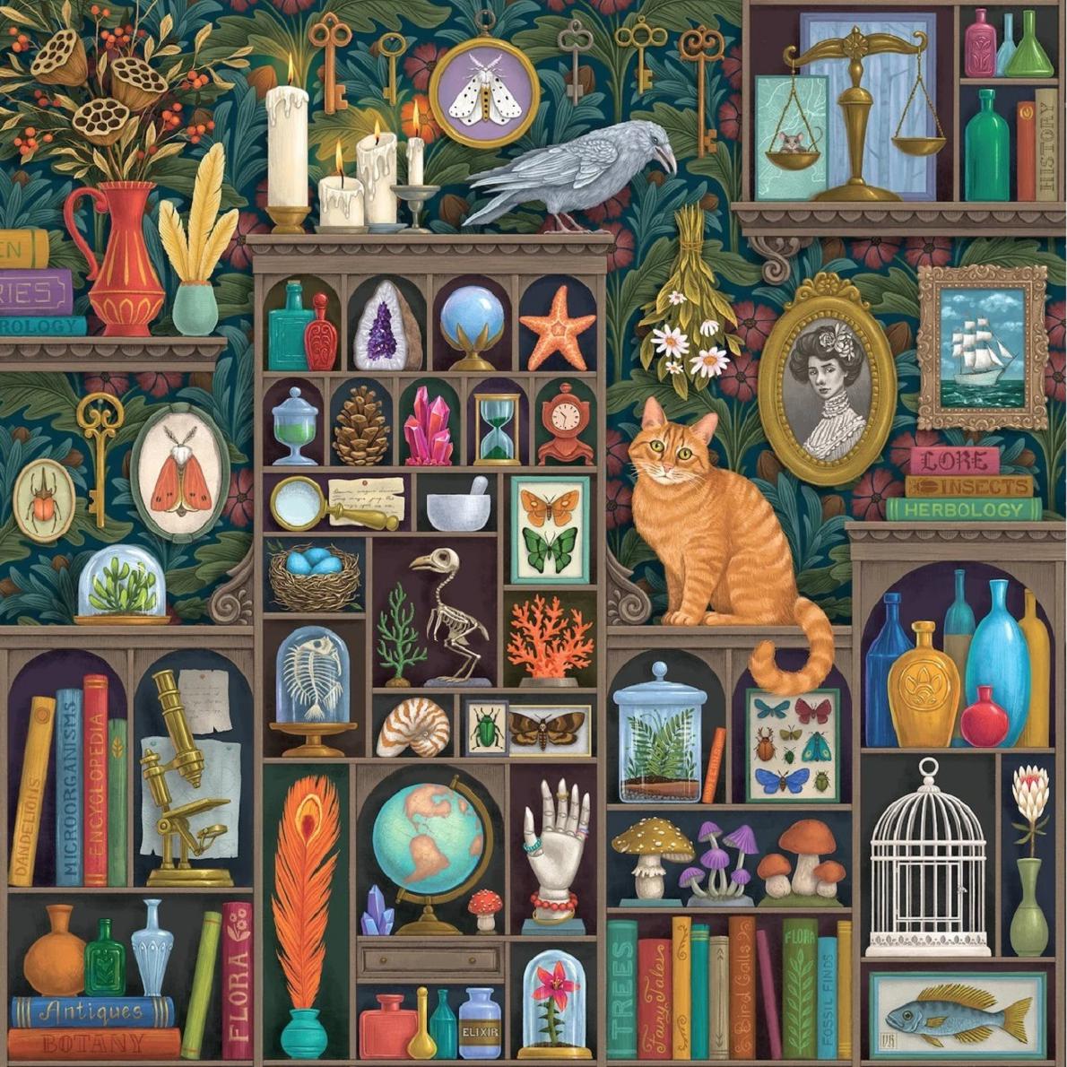 коллекция коллекция