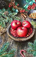 ������ ���������