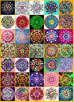 ������_74