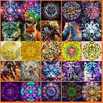 ������_79