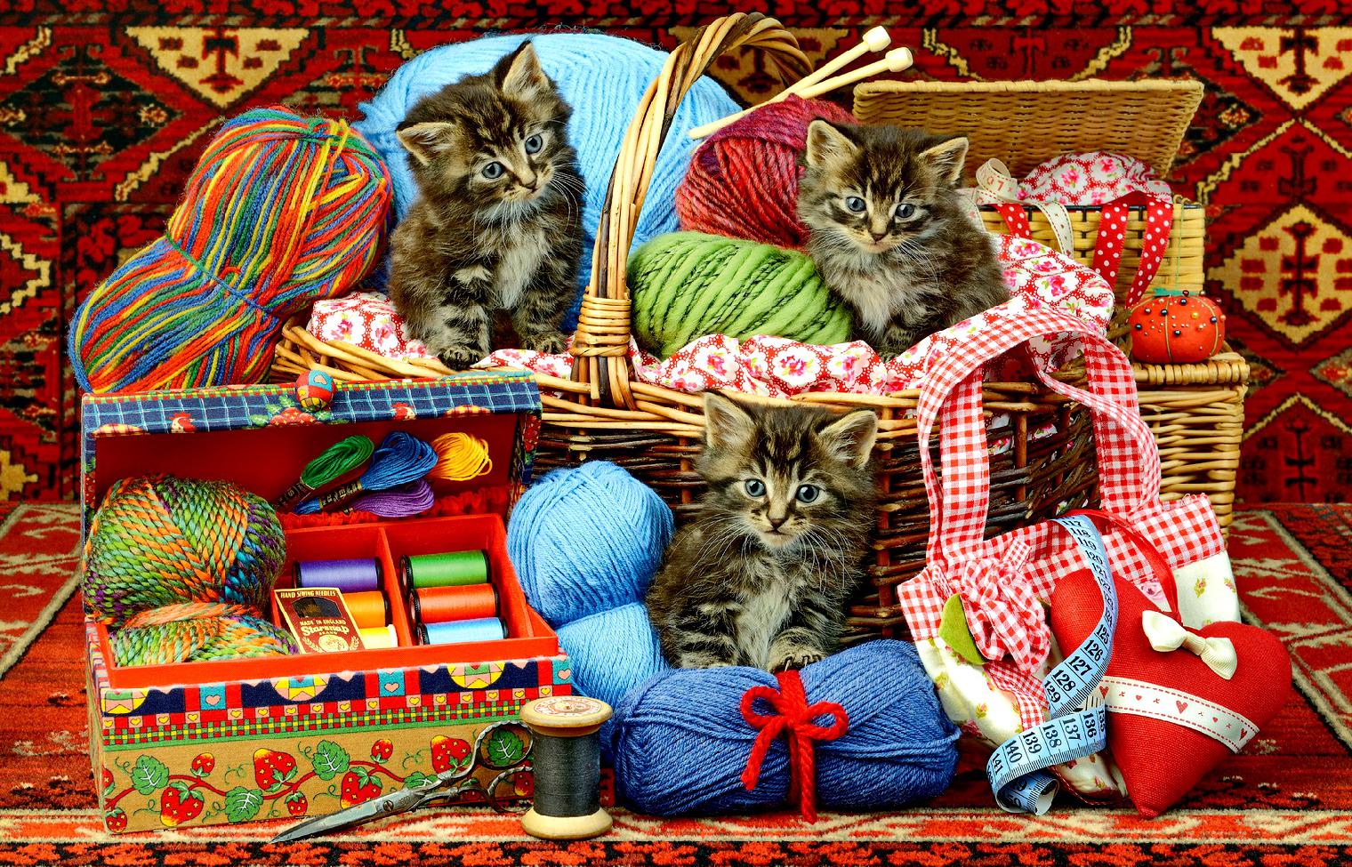 ����� � �������