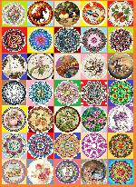 ������_80