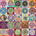 ������_81